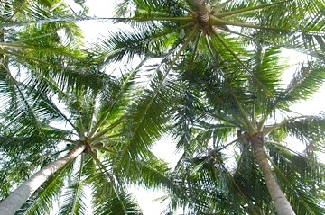 b0025850_19485717.jpg