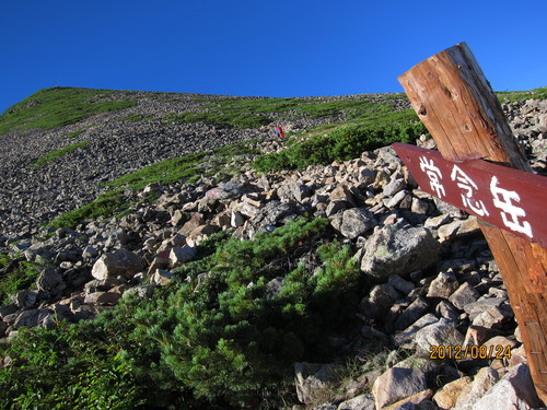 b0148050_21245780.jpg