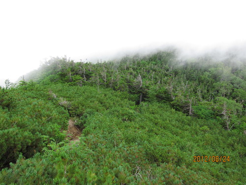 b0148050_21442169.jpg
