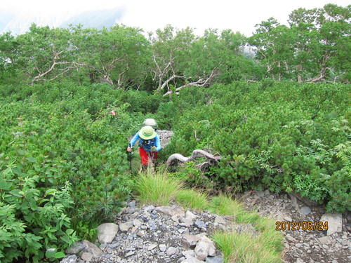b0148050_21465368.jpg