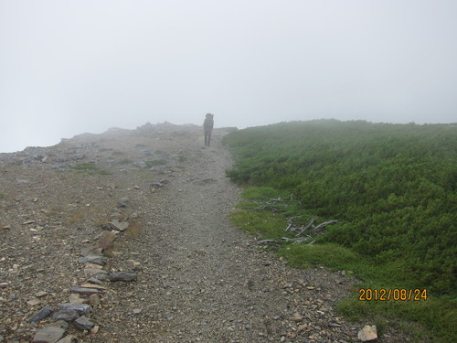 b0148050_21503390.jpg