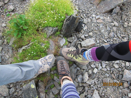 b0148050_21581967.jpg