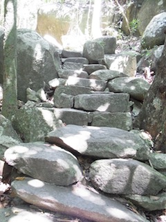 e0138350_23322490.jpg