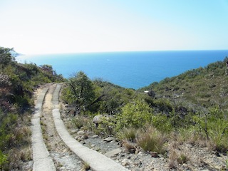 e0138350_23522234.jpg