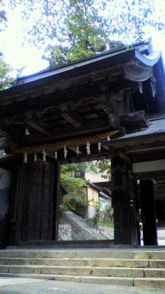 d0175151_2513144.jpg