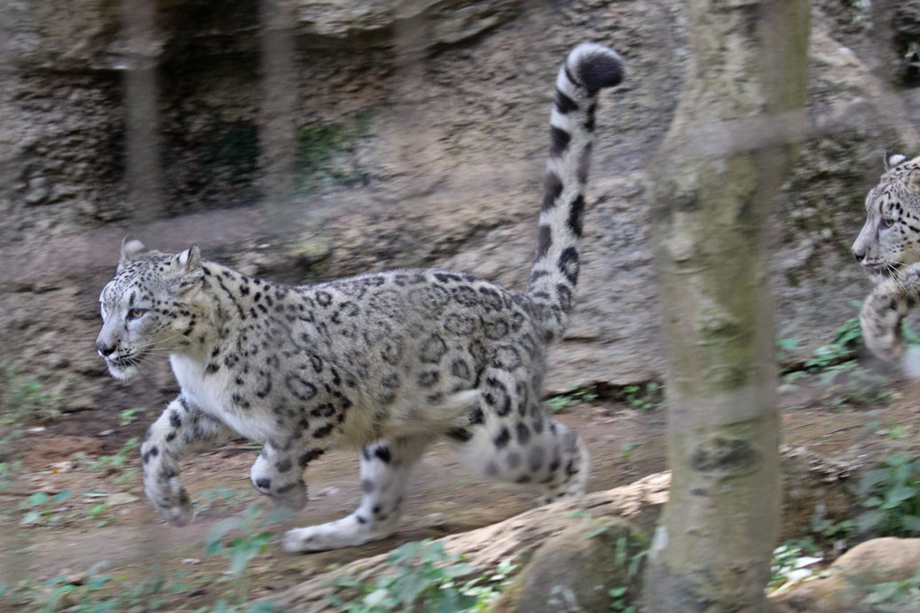 d0227252_13305829.jpg