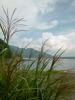a0165160_620394.jpg