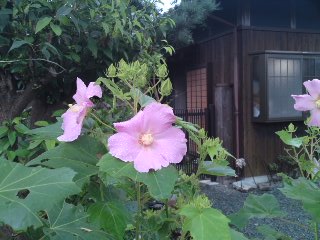 c0115560_1224369.jpg
