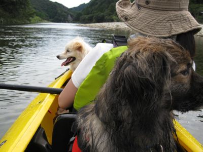 和歌山旅行記３　〜古座川カヤック〜_a0119263_1639359.jpg