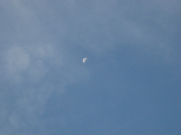e0290872_20441934.jpg