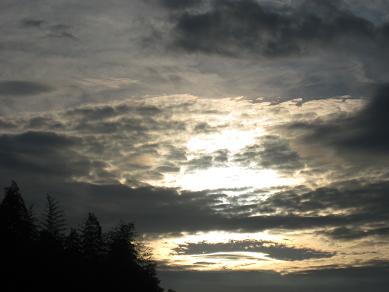 e0290872_21104645.jpg