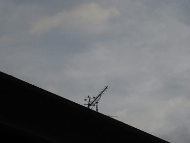 e0290872_2114534.jpg