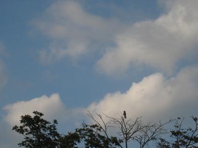 e0290872_21234171.jpg