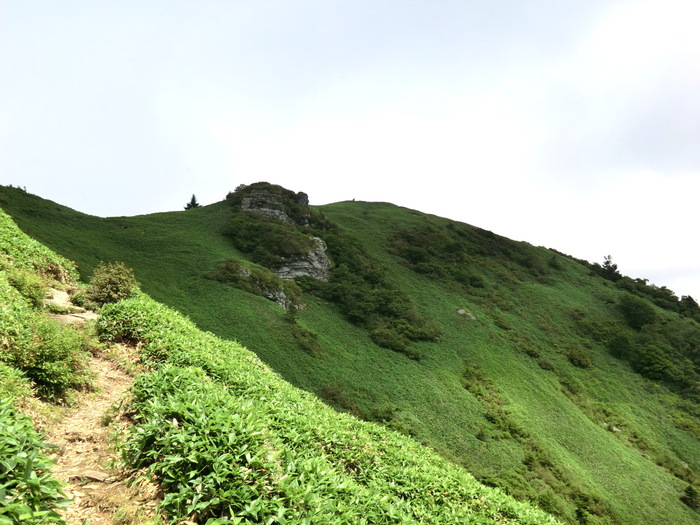 b0185573_1092881.jpg