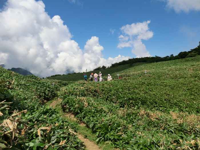 b0185573_9261062.jpg