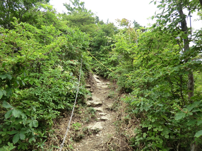 b0185573_9582560.jpg