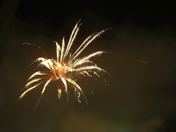 c0095679_23553625.gif