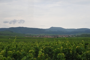 d0139881_227330.jpg