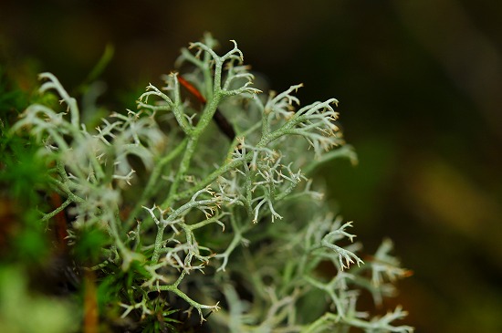 b0255992_121246.jpg