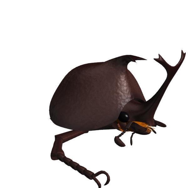 カブトムシの顔というのは 戸袋物語 カブトムシの顔というのは 戸袋物語