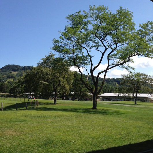 c0211194_1910360.jpg