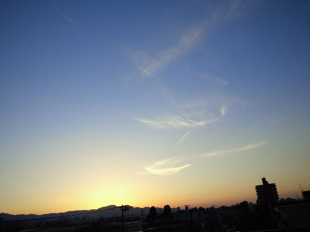 f0200795_1650104.jpg