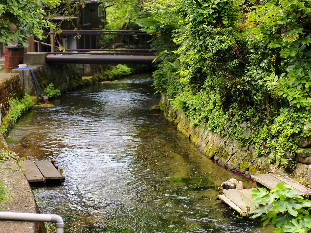 少し遅めのお盆休み 滋賀編 ～ 水辺のある風景 ～ 「醒井宿の名残」他_b0138101_5124220.jpg