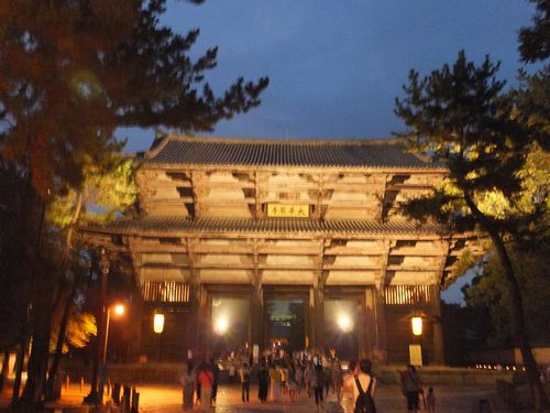 夜間「東大寺」特別拝観で観相窓から大仏の尊顔を拝する_f0120102_1313223.jpg