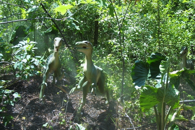 c0062603_1248444.jpg