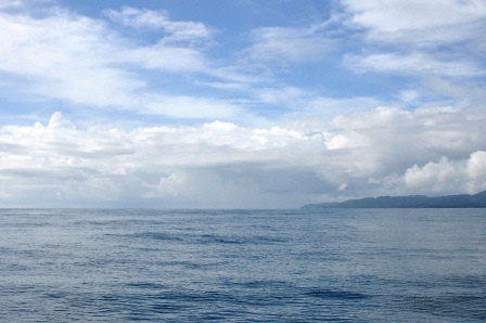 f0048405_1625487.jpg