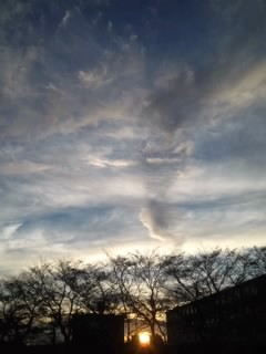 b0085408_18561411.jpg
