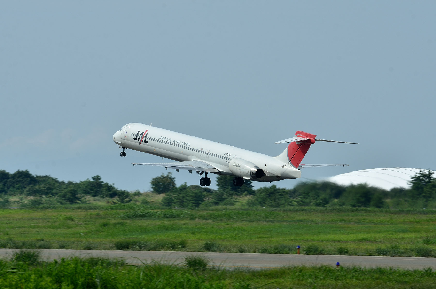 McDonnell Douglas MD-90 / JA8064 : SKY LOUNGE GARDEN