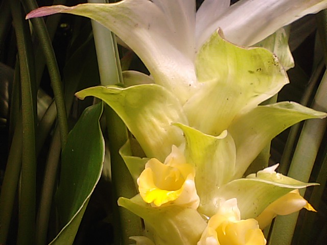 f0231709_14353886.jpg