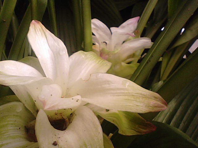 f0231709_1436519.jpg