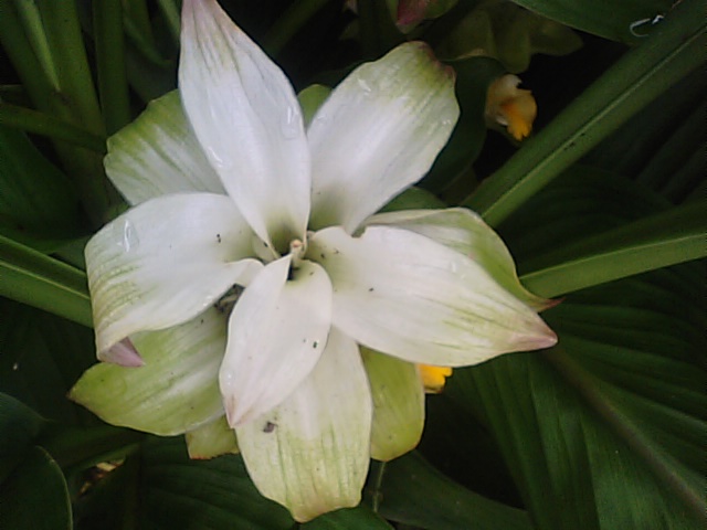 f0231709_14552414.jpg