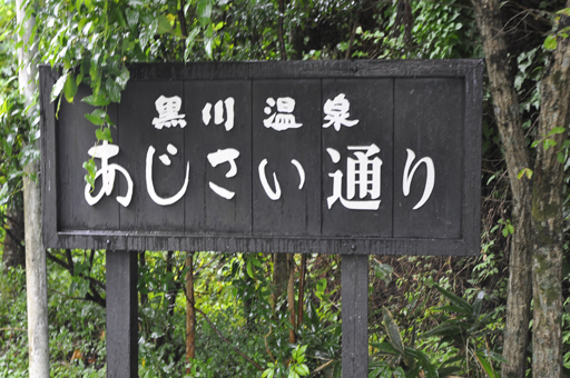 黒川温泉の道案内サイン_a0286510_11422785.jpg