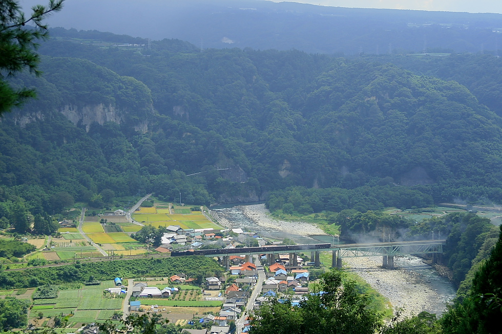 みどり いろいろ - 2012年晩夏・上越線 - _b0190710_195205.jpg