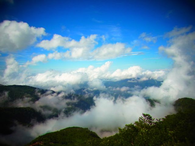 b0183911_12371359.jpg
