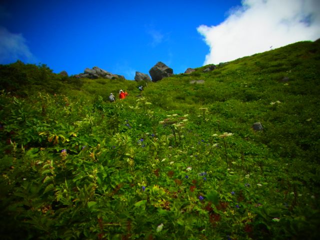 b0183911_12372231.jpg