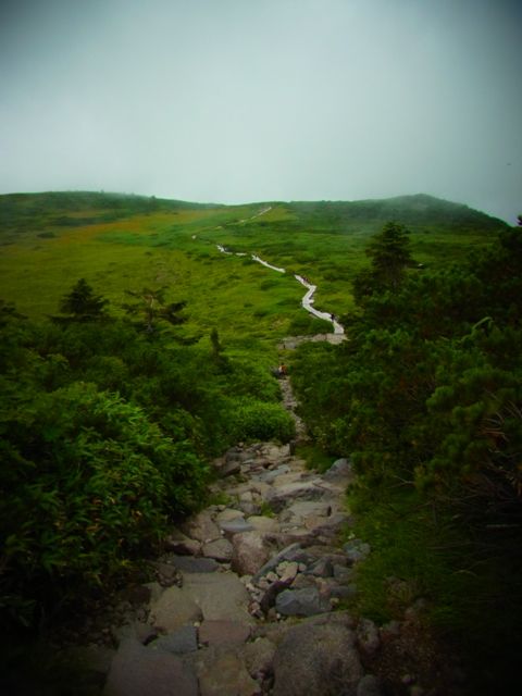 b0183911_133234.jpg