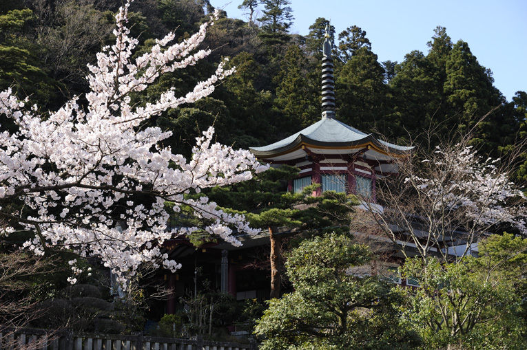 こいこい祭も山中温泉フォト５７５にチャレンジ♪_a0238217_1134168.jpg