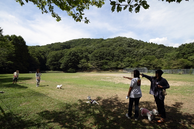 b0249720_21103783.jpg