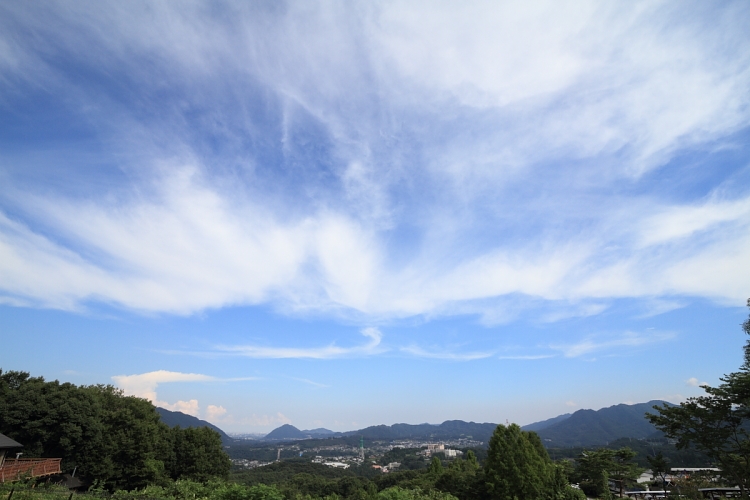 b0249720_21514528.jpg