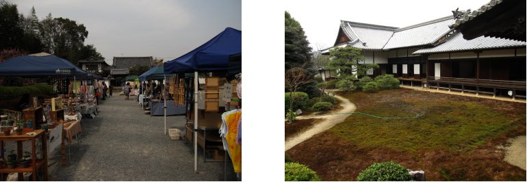 京都観桜編(5):大石神社(11.4)_c0051620_934841.jpg