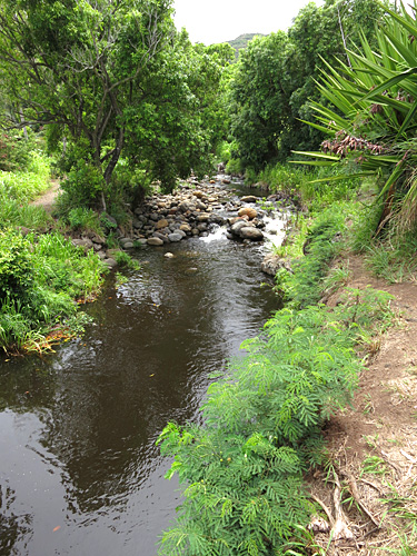 d0023725_7412112.jpg