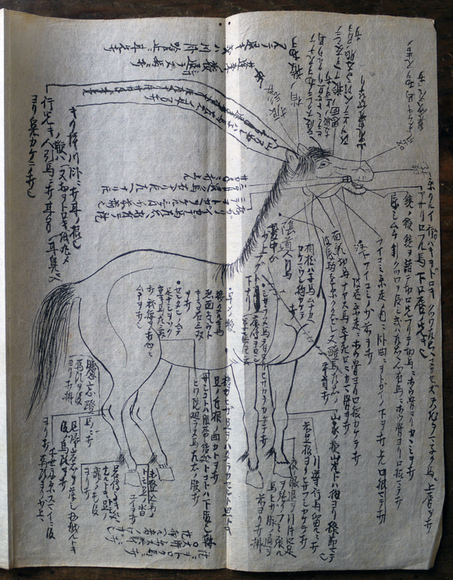 写本「大坪流馬術秘傳」寛文10年 : 古書 古群洞 kogundou60@me