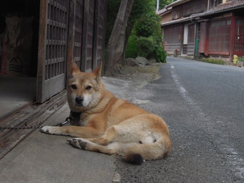 吹屋ふるさと村　ベンガラの里_f0097528_81714100.jpg