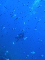 12.9.9 赤と青と_b0100730_21423330.jpg