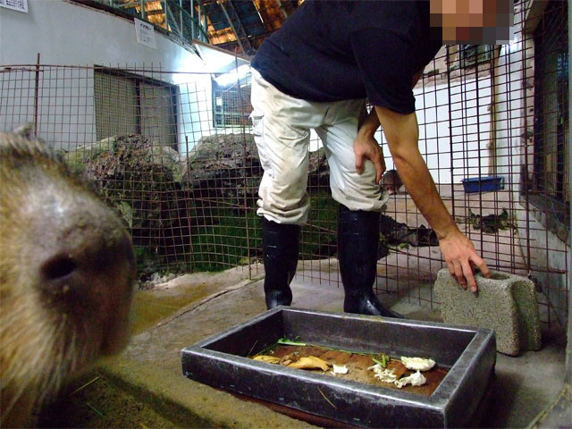 まりも『地獄』のトレーニング!_a0179837_13322821.jpg