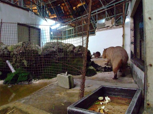まりも『地獄』のトレーニング!_a0179837_13381117.jpg